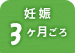 妊娠3ヶ月ごろ