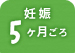 妊娠5ヶ月ごろ