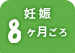 妊娠8ヶ月ごろ