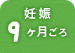 妊娠9ヶ月ごろ