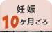 妊娠10ヶ月ごろ