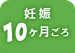 妊娠10ヶ月ごろ