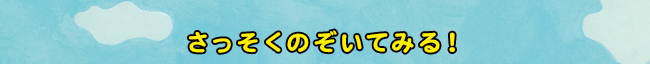 さっそくのぞいてみる！